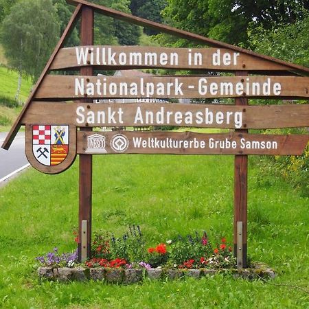Wohnung Julius 1 Sankt Andreasberg Luaran gambar